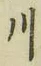 글자 川