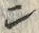 字ン