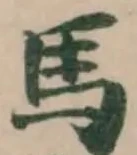 馬 위치 확인됨