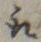 𡨸取