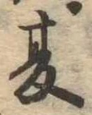 夏 위치 확인됨