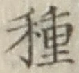 글자 種