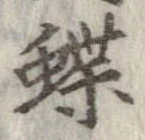 蝶 위치 확인됨