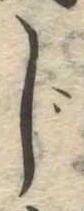 位置 確認된 じ