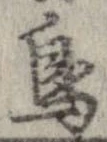 已定位鳥