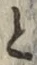 “と”字
