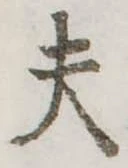 Đã định vị 夫