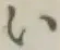 Character い