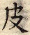 位置定マレル皮