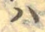 𛂞 위치 확인됨