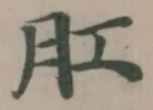 肛，已得其位