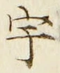 文字宇