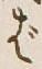 글자 ば