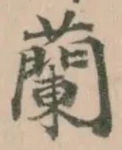位置定マレル蘭