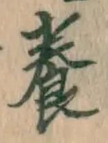 Chữ 養