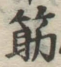 Character 筋