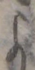 미지정 위치 확인됨