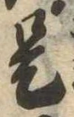 已定位是