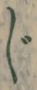 글자 じ