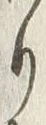𡨸り