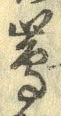 島 위치 확인됨