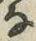 字な