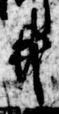 井 위치 확인됨