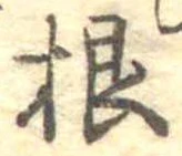 根 위치 확인됨