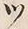 「ツ」字