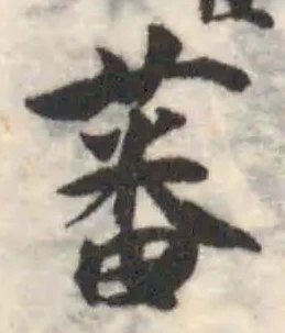 蕃 위치 확인됨