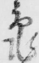 已定位亀