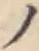 字ノ