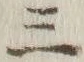 文字三