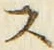 𡨸ス