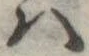 𛂞の位置