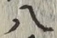 글자 八