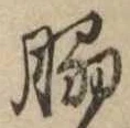 Đã định vị 脇