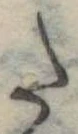 𛁠の位置