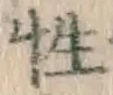 Chữ 性