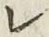 文字レ