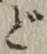 文字 ど
