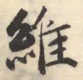 維の位置