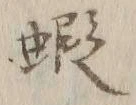 文字蝦