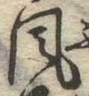 位置定マレル風