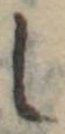 𛁅 위치 확인됨