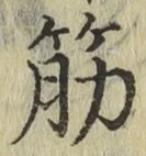 글자 筋