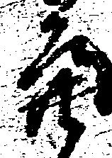 Đã định vị 亮