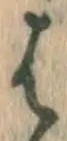 글자 は