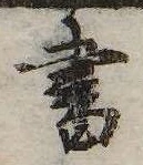 已定位書