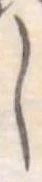 𛁅 위치 확인됨